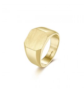 Anello Uomo Gioielli Brosway Ink in acciaio 316L pvd oro a sigillo bik32b