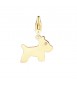 Charm donna gioielli Sagapò Happy in acciaio 316L pvd oro Cane sha317
