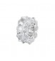 Color Charm Gioielli Fancy by Brosway in argento zircone ovale bianco fiw01