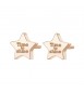 Orecchini donna gioielli Sagapò Click in acciaio 316L con Stella pvd oro rosa sck38