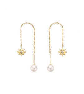 Orecchini Saliscendi Donna Gioielli Brosway Chakra in acciaio dorato con Rosa dei Venti bhke185