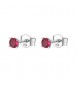 Orecchini a lobo Gioielli Fancy by Brosway in argento zircone rosso fpr43