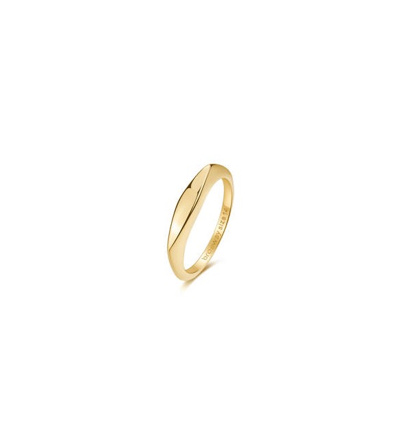 Anello Gioielli Brosway Essential in acciaio dorato misura 16 da incidere BNL122C