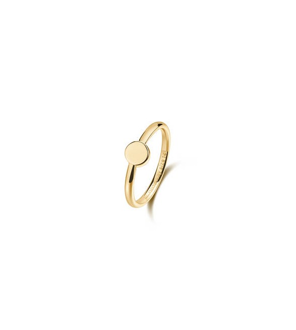 Anello Gioielli Brosway Essential in acciaio dorato misura 16 da incidere BNL124C