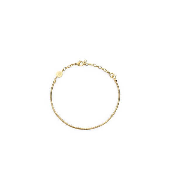 Bracciale Gioielli Brosway Essential in acciaio dorato maglia snake BNL064