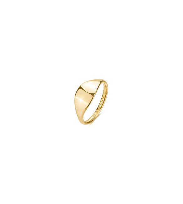 Anello Gioielli Brosway Essential in acciaio dorato misura 18 da incidere BNL120D