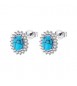 Orecchini Kate Donna Gioielli Fancy by Brosway in argento turchese FCL124