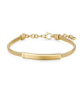 Bracciale Gioielli Brosway Riptide in acciaio dorato snake con piastra personalizzabile BTD055