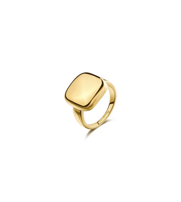 Anello Gioielli Brosway Muse in acciaio dorato misura 16 BUE32C