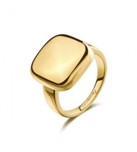 Anello Gioielli Brosway Muse in acciaio dorato misura 16 BUE32C