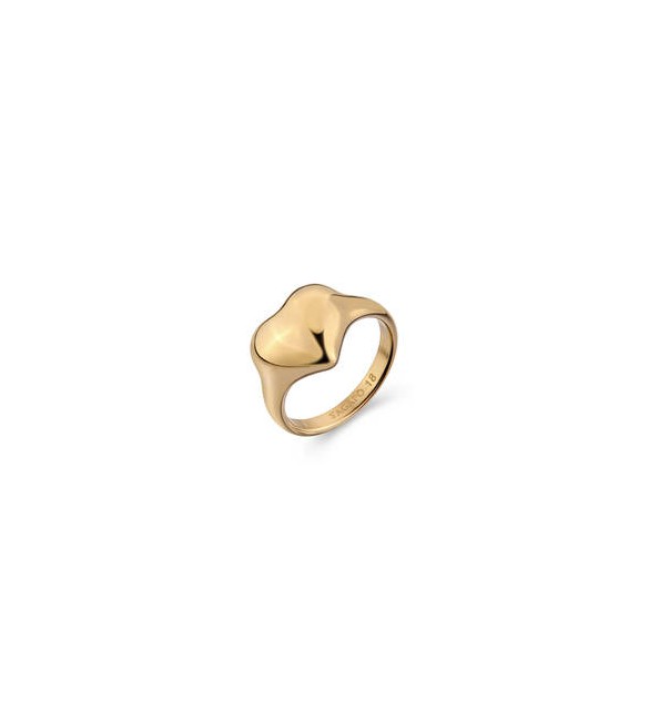 Anello Gioielli S\'Agapò Stellar in acciaio cuore dorato misura 12 SSE65B