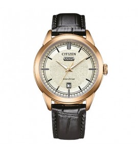 Orologio Solo Tempo Uomo Citizen Eco Drive champagne aw0153-04a